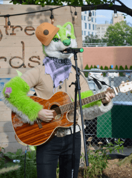 NIIC the Singing Dog performing outdoors with an acoustic guitar